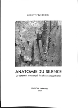 Anatomie du silence : du potentiel inaccompli des choses insignifiantes - Serhiy Wolkonsky
