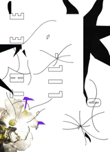 O' thee lil'o - David Douard