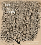 The Beautiful Brain : The Drawings of Ramon y Cajal - Larry W. Swanson