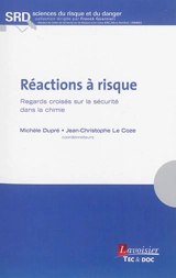 Réactions à risque : regards croisés sur la sécurité dans la chimie - Michèle Dupré