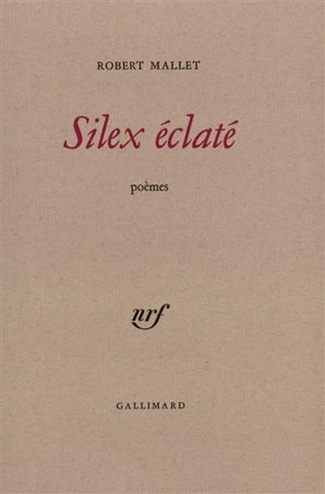 Silex éclaté - Robert Mallet