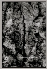 Le songe de Poliphile - Thierry Ledoux