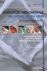Chirurgie abdominale du chien et du chat : partie caudale de l'abdomen - José Rodríguez Gómez