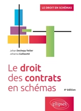 Le droit des contrats en schémas - Johan Dechepy-Tellier