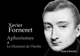 Aphorismes. Le diamant de l'herbe - Xavier Forneret