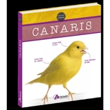 Canaris - Harro Hieronimus