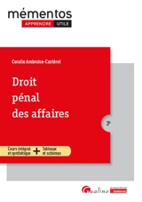 Droit pénal des affaires - Coralie Ambroise-Castérot