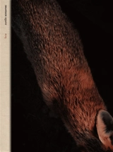 Ferae - Aurélie Scouarnec