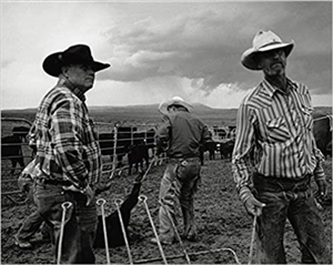 John Langmore Open Range - John Langmore