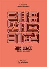 Subsidence - Camille Ammoun