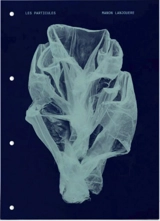 Les particules : le conte humain d'une eau qui meurt - Manon Lanjouère