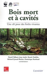 Bois mort et à cavités : une clé pour des forêts vivantes