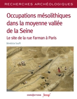 Occupations mésolithiques dans la moyenne vallée de la Seine : le site de la rue Farman à Paris
