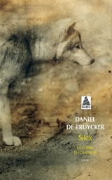 Silex : la tombe du chasseur - Daniel De Bruycker