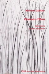 Chemin d'eau : delirium ambulatorium - Vincent Guillier