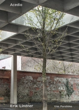 Acedia - Erik Lindner