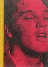 Les cinq livres du King - Pacôme Thiellement