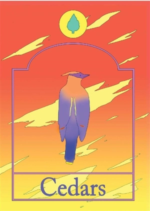 Cedars - Todd Fleming Davis