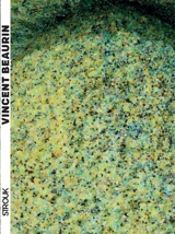 Vincent Beaurin : incarnat - Clément Dirié