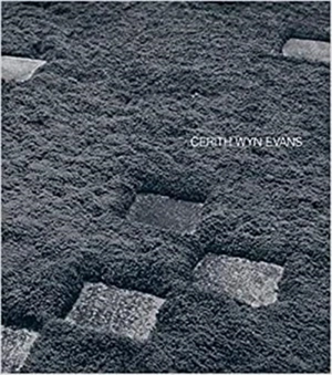 Cerith Wyn Evans - Julia Peyton-Jones