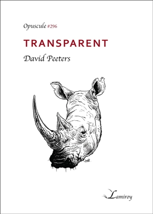 Transparent - David Peeters