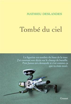 Tombé du ciel - Mathieu Deslandes