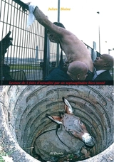 Lecture de 5 faits d'actualité par un septuagénaire bien sonné - Julien Blaine