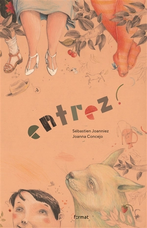 Entrez ! - Sébastien Joanniez