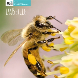 L'abeille - Léa Schneider