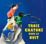 Trois chatons dans la nuit - Audrey Poussier