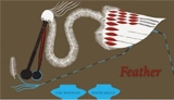Feather - Wenxuan Cao