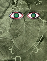 Hoja santa - Maciejka Art