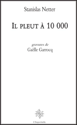 Il pleut à 10.000 - Stanislas Netter