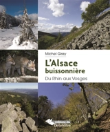 L'Alsace buissonnière : du Rhin aux Vosges - Michel Gissy