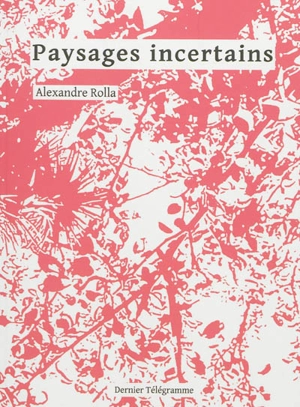 Paysages incertains - Alexandre Rolla