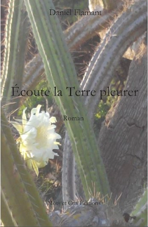 Ecoute la Terre pleurer - Daniel Flamant