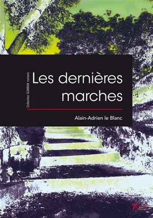 Les dernières marches - Alain-Adrien Le Blanc