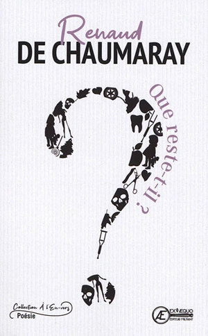 Que reste-t-il ? - Renaud de Chaumaray
