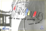 Saltimbanques : carnet de voyage d'une vie grenadine - Sidonie Couëdel