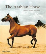 The Arabian Horse (Paperback) - Hosseïn Amirsadeghi