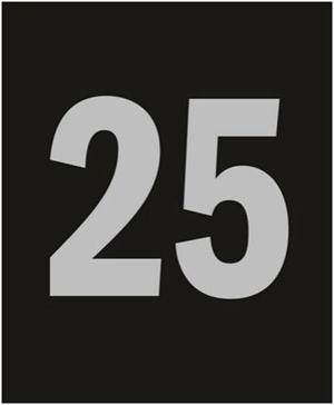 Regen Projects 25 - George Baker