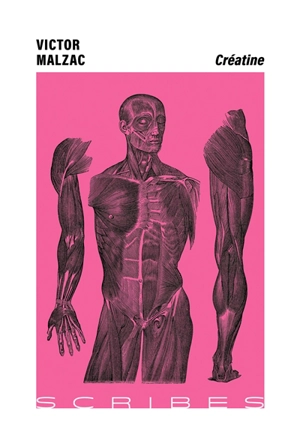 Créatine - Victor Malzac