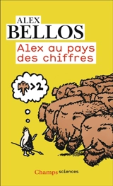 Alex au pays des chiffres : une plongée dans l'univers des mathématiques - Alex Bellos