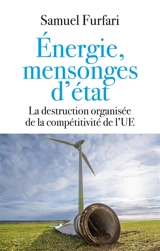 Energie, mensonges d'Etat : la destruction organisée de la compétitivité de l'UE - Samuele Furfari