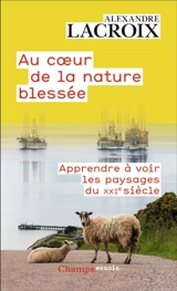 Au coeur de la nature blessée : apprendre à voir les paysages du XXIe siècle : essai - Alexandre Lacroix