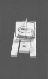 Anna Haifisch Residenz Fahrenbühl Volte #10 - Anna Haifisch