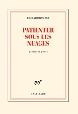 Patienter sous les nuages : poèmes en prose - Richard Rognet