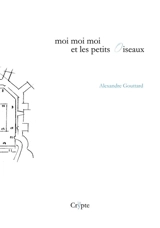 Moi moi moi et les petits oiseaux - Alexandre Gouttard