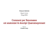 Comment par Xenomanes est anatomisé & descript Quaresmeprenant : Quart-Livre, chap. XXX - François Rabelais