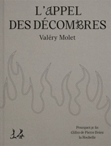 Pourquoi je lis Gilles de Pierre Drieu la Rochelle : l'appel des décombres - Valéry Molet